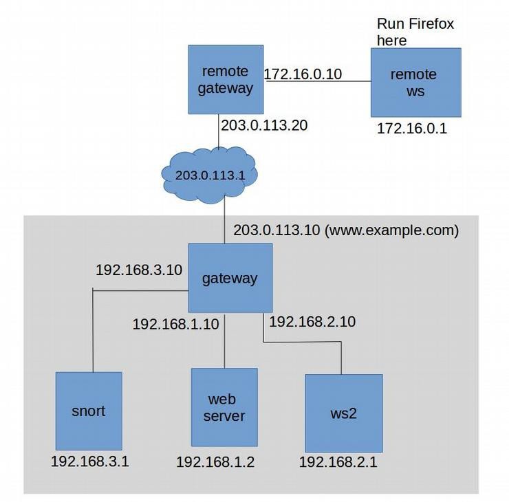 Linux lab using Nmap to discover target IP and SSH port, then secure access